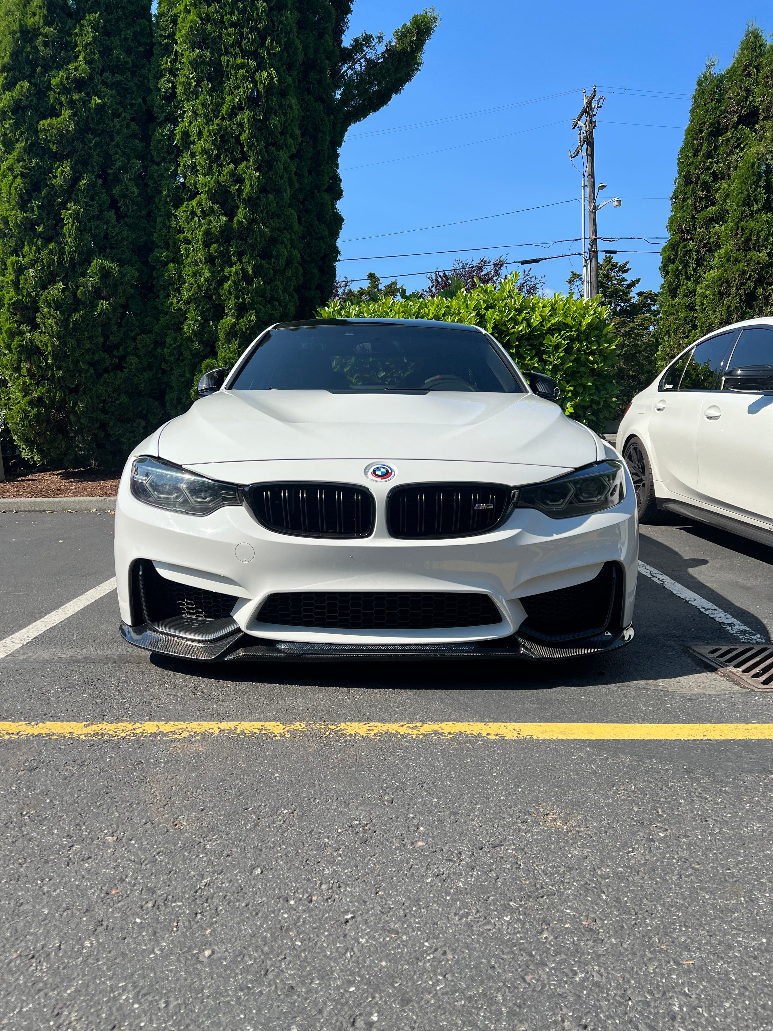 F8X M3 M4 Varis Style Carbon Fiber Lip