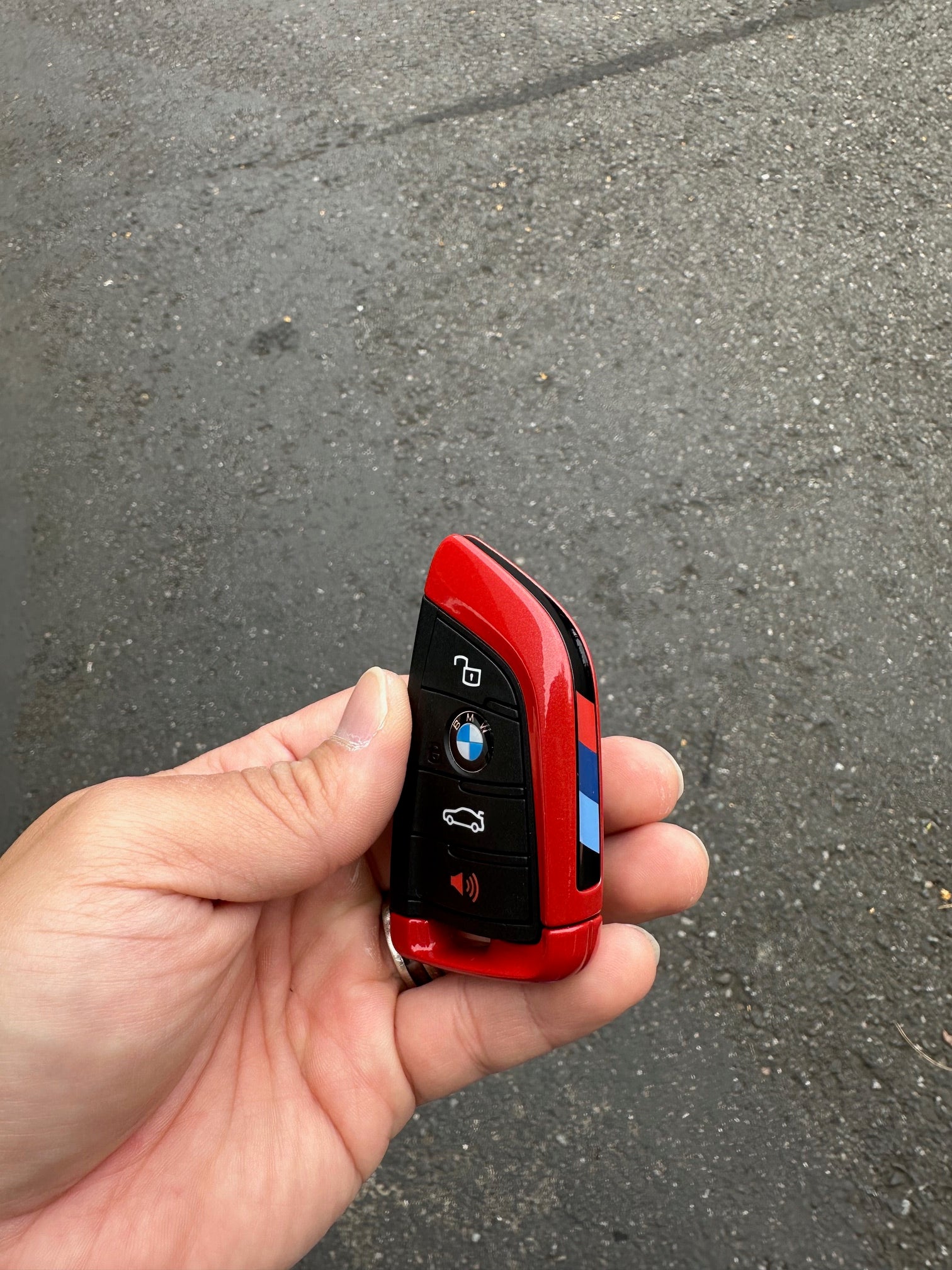 Custom Painted BMW Key Fobs - 0