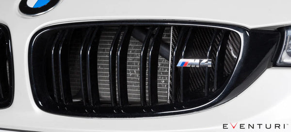 Eventuri BMW F8X M3 / M4 Black Carbon Air Scoop Set