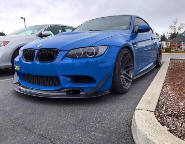 BMW Kidney Grills