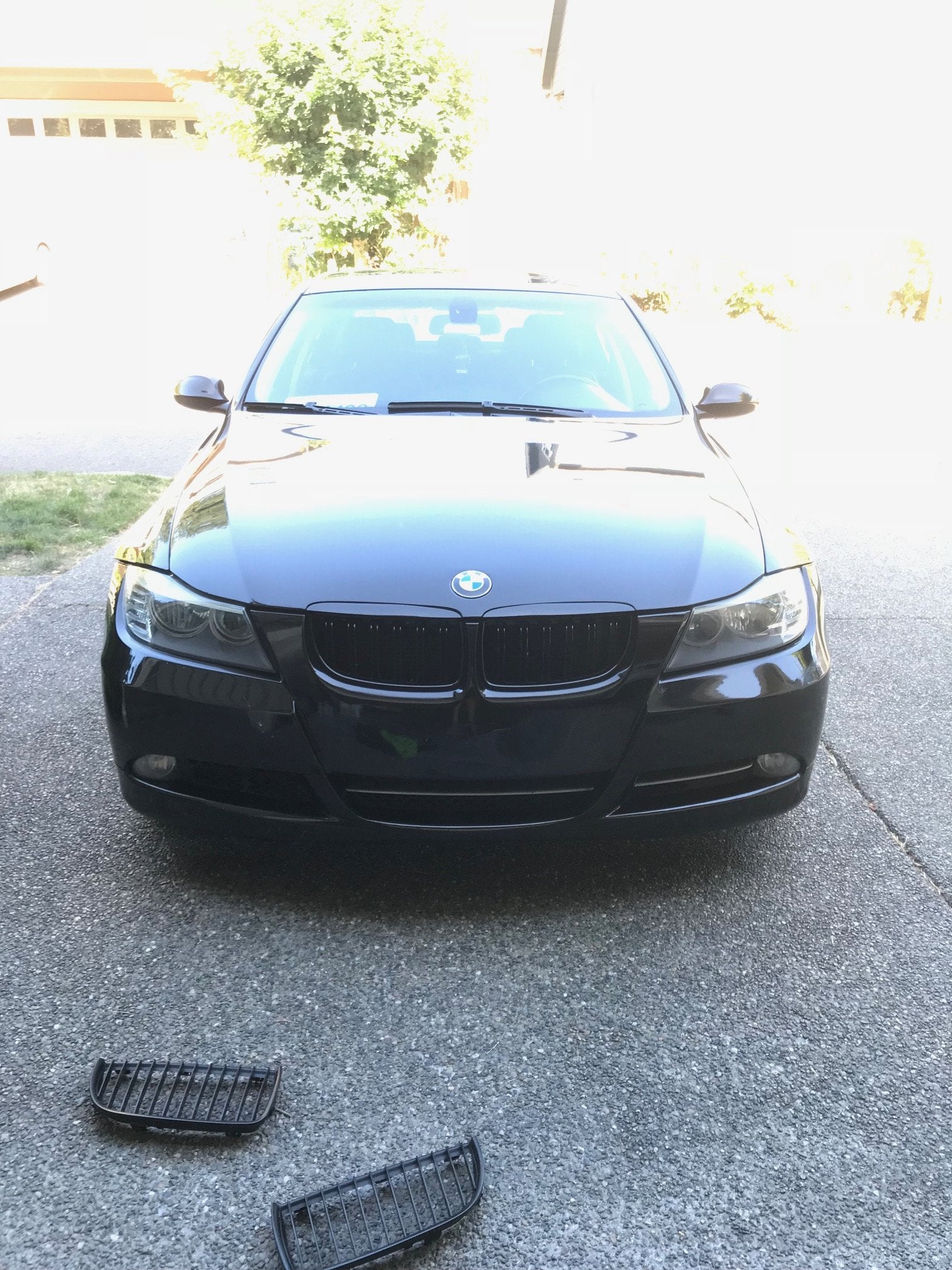 BMW Kidney Grills