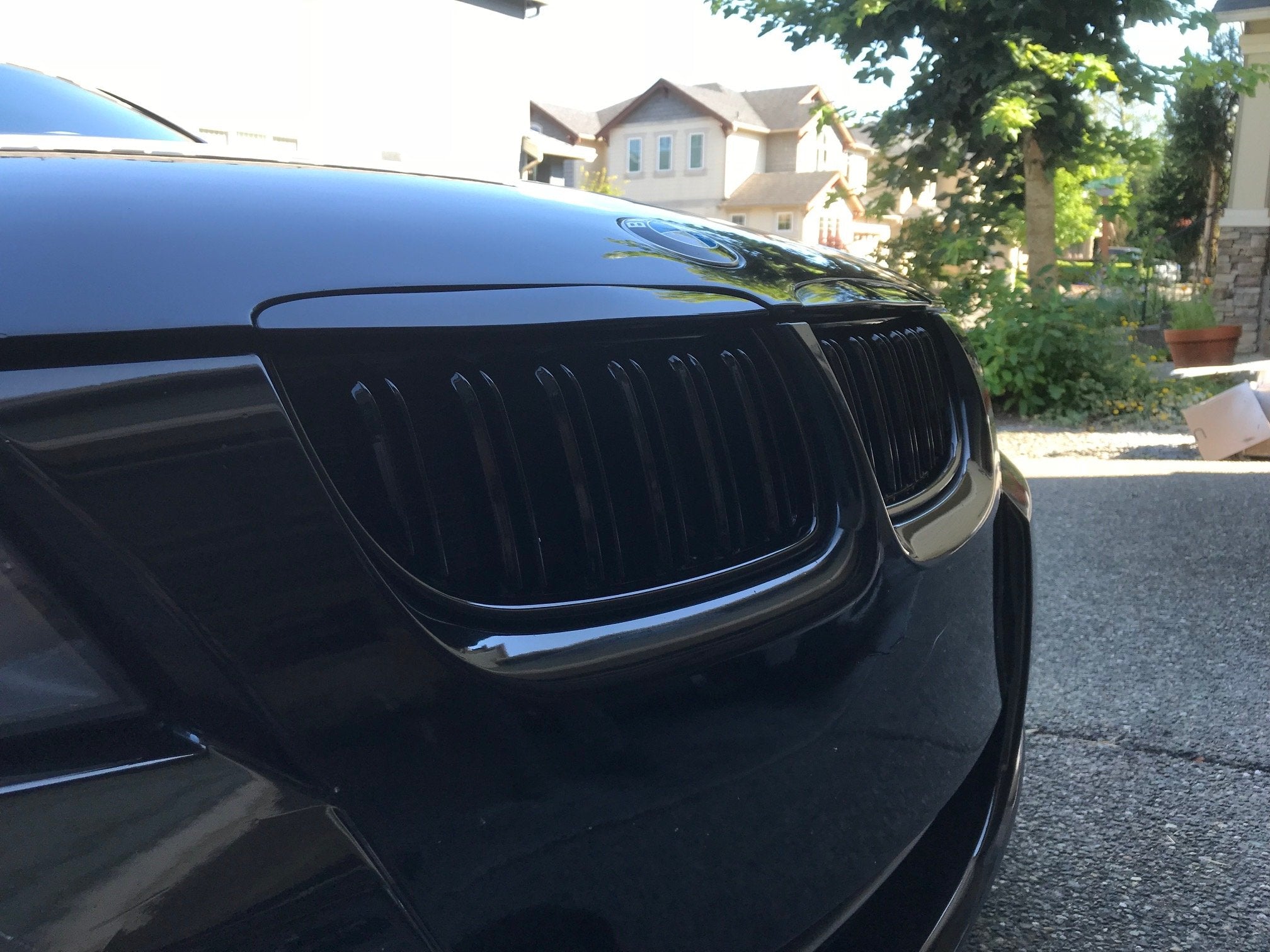 BMW Kidney Grills