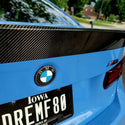 BMW Carbon Fiber Roundel Set