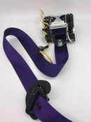 Colored seat belts-11