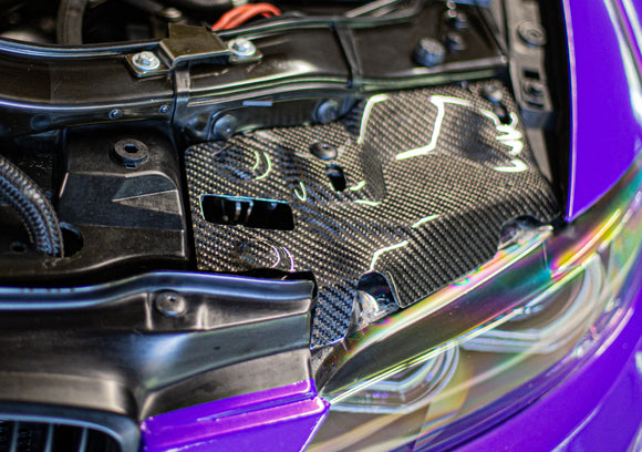 Carbon fiber Headlight dust cover