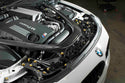 DownStar BMW F8X S55 Billet Dress-Up Bolt Kit
